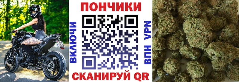 Продажа наркотиков Аша Гашиш  COCAIN  МЕФ  Alpha-PVP  МАРИХУАНА 