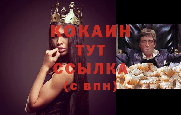 кокс Алзамай