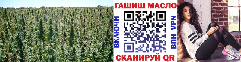 купить наркоту  даркнет как зайти  Дистиллят ТГК вейп с тгк  Аша 