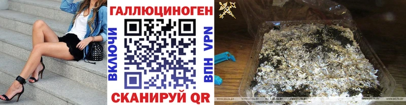 Псилоцибиновые грибы Psilocybe  Аша 