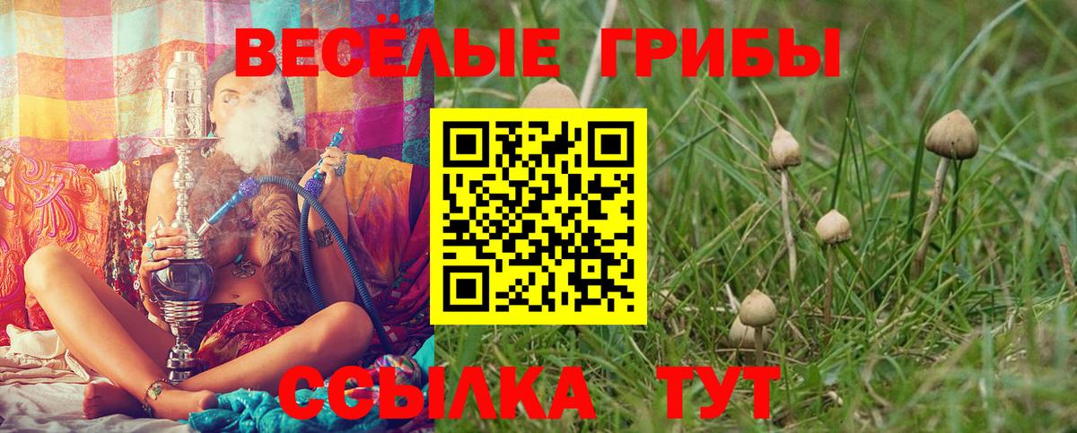 ГАШ  МЕТАМФЕТАМИН  Меф кристаллы  Аша  Конопля  Вход с VPN 