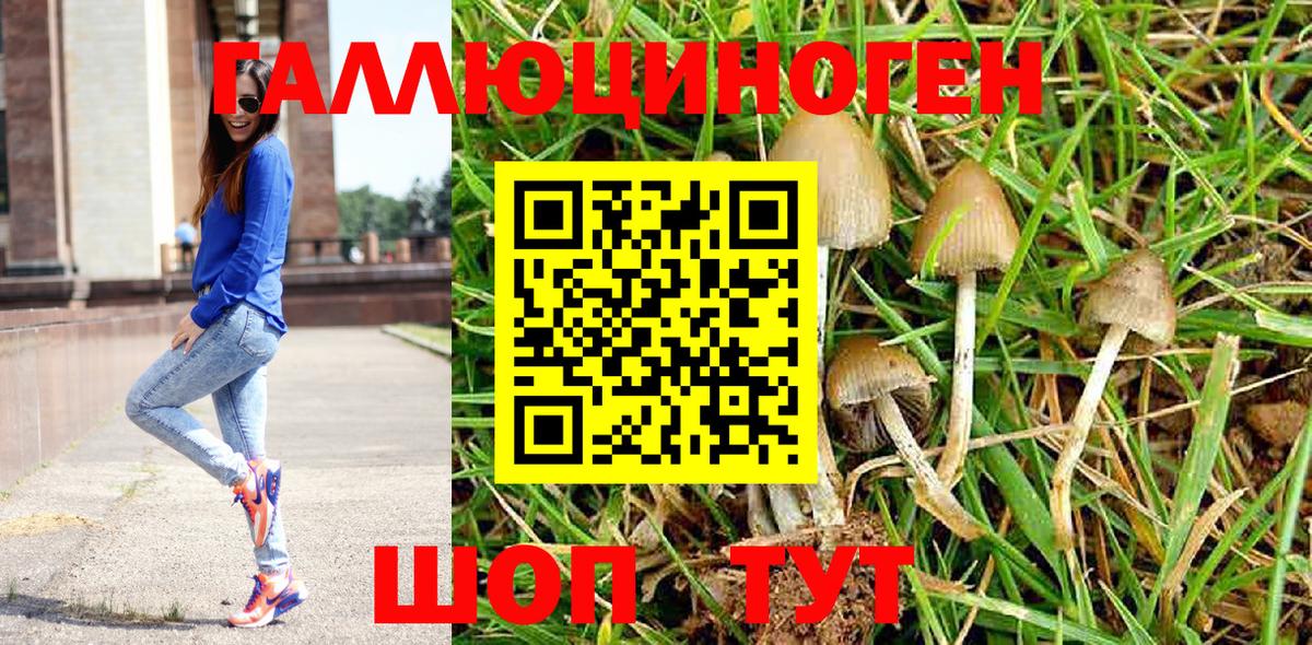 Аша  Галлюциногенные грибы мицелий  Вход с VPN 
